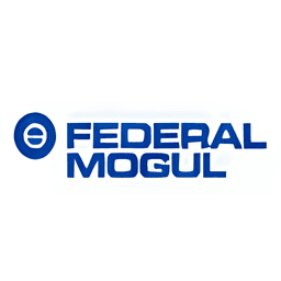 FEDERAL MOGUL